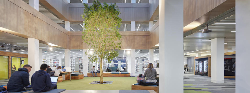 Lancaster Uni Library20160113 2863