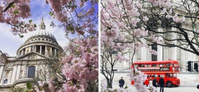 0157 Adba B03 D 4152 9679 88200434 E6 Bf